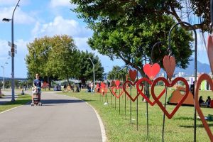 ▲「藏藝」約5分鐘享受424公頃新北大都會公園